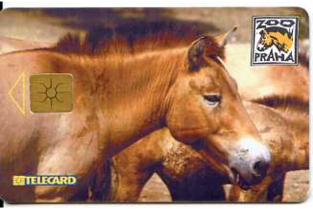 Telefon.karta/ČR/ č.24