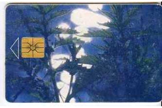 Telefon.karta/ČR/ č.117