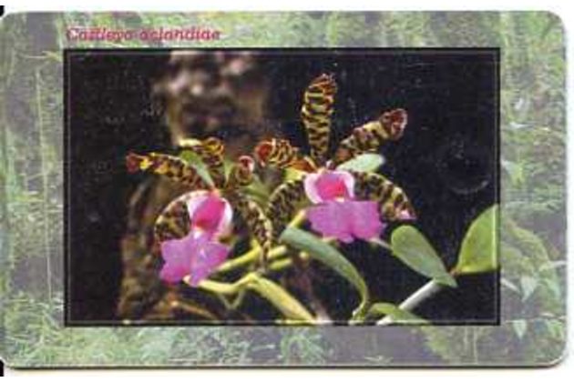 Telefon.karta/ČR/ č.126