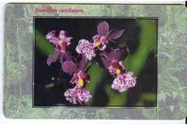 Telefon.karta/ČR/ č.131