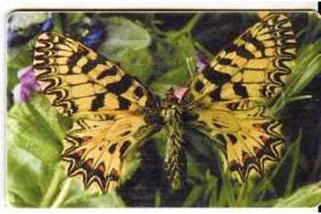 Telefon.karta/ČR/ č.143