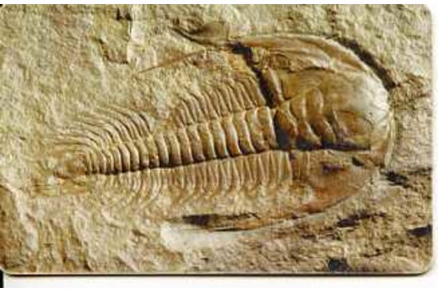 Telefon.karta/ČR/ č.150