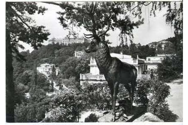 E 55413 - Karlovy Vary 6