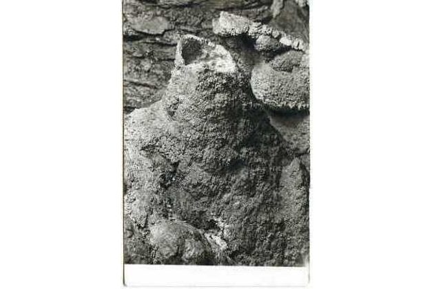 D 55430 - Zbrašovské kráp.jeskyně u Hranic 