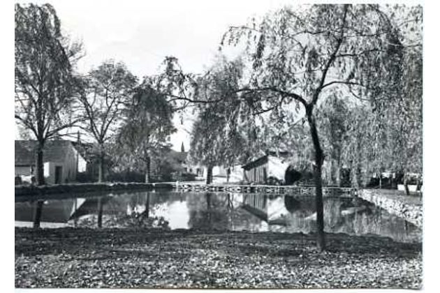 E 55516 - Novosedly nad Nežárkou