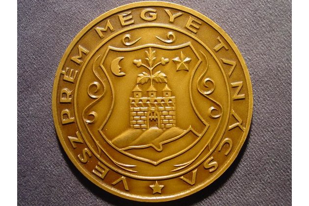 12244 - městská medaile