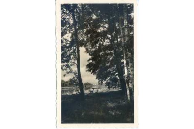 D 56313 - Poděbrady