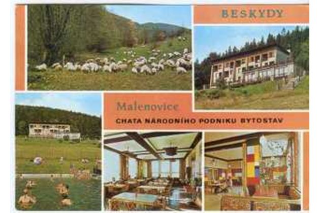 F 57241 - Malenovice 