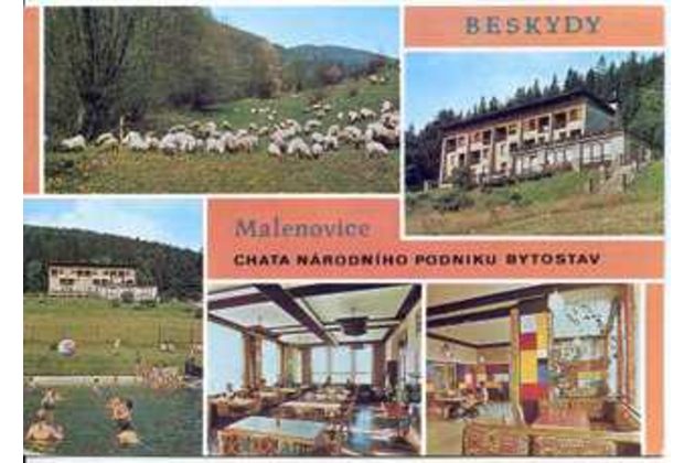 F 57254 - Malenovice 