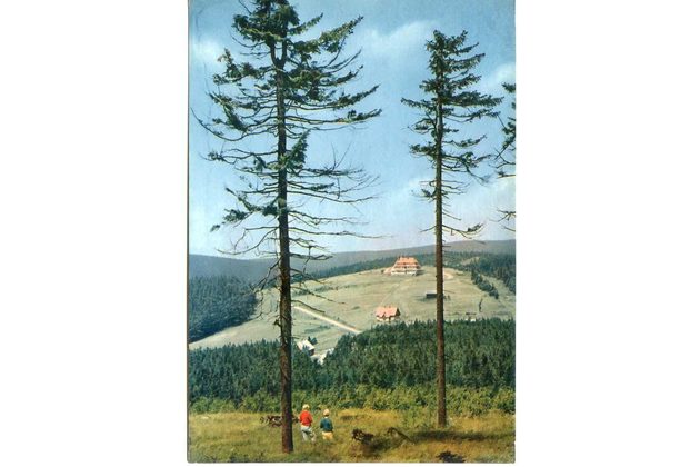 F 57914 - Orlické hory