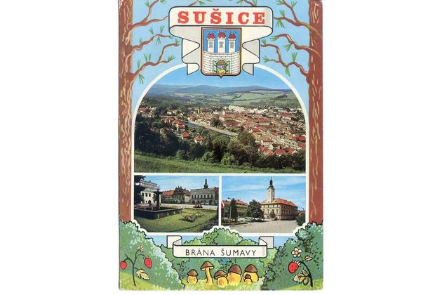 F 56515 - Sušice 