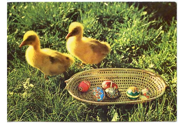 F 58095 - Velikonoce 