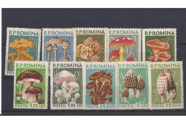 soubor známek č. 275