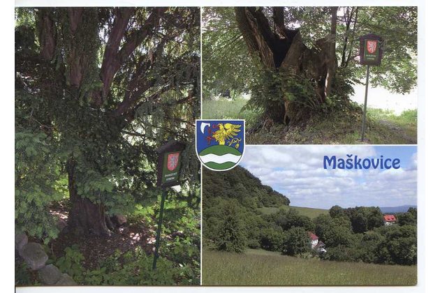 F 58812 - Maškovice