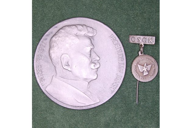 12938- Jánský Jan Prof.MUDr postř.medaile 1873-1921 s etuí