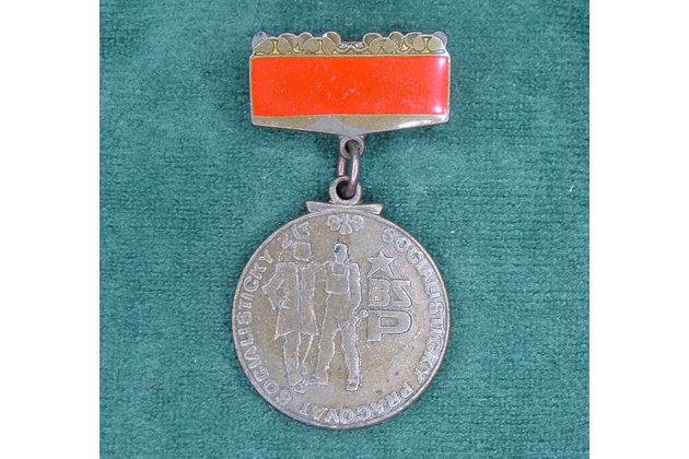 12976- BSP- Člen brigády soc.práce bronzový 