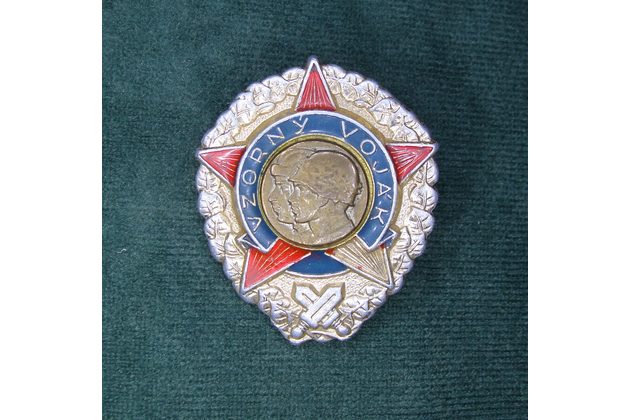 13137- Vzorný voják