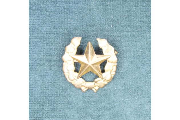 13192- Odznak