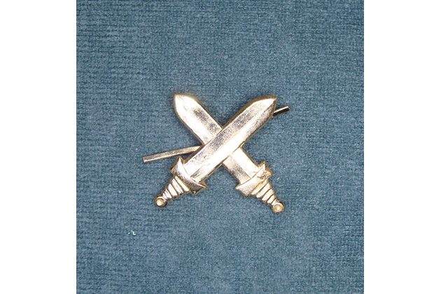 13179- Odznak
