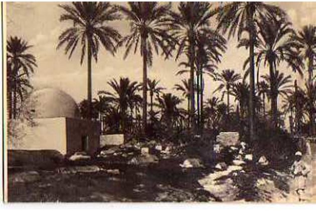 Ostatní cizina - 45268