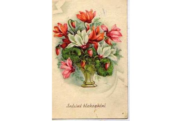 C 45306 - Srdečné blahopřání