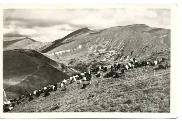 Nízké Tatry - 45956