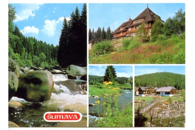 F 46489 - Šumava