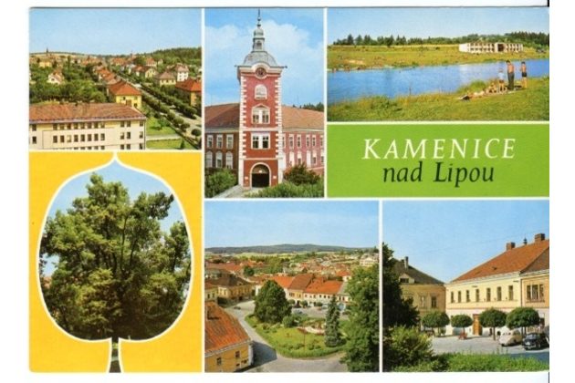 F 46620 - Kamenice nad Lipou