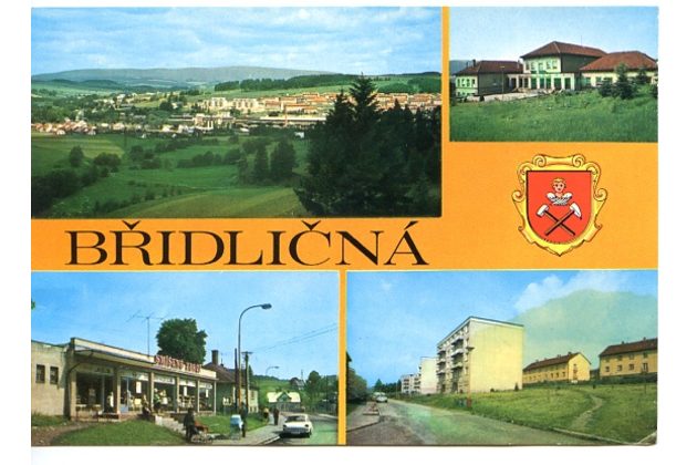 F 47423 - Břidličná