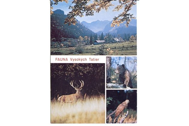 Vysoké Tatry - 48550