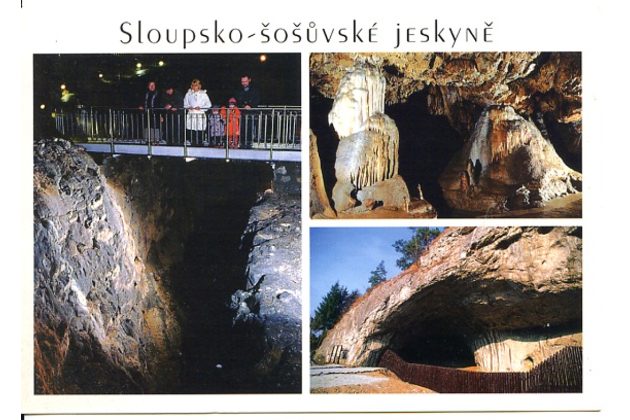 F 49425 - Sloupsko-Šošůvské jeskyně 