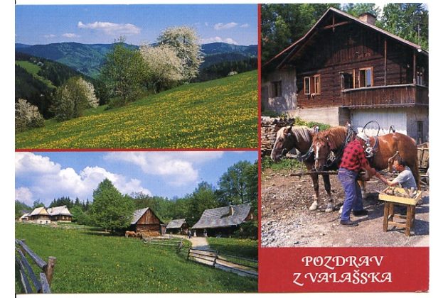 F 49561 - Rožnov pod Radhoštěm