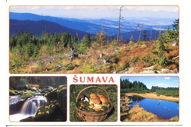 F 49601 - Böhmerwald