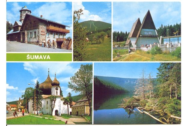F 49619 - Šumava
