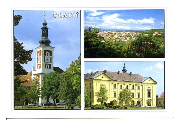 F 49631 - Slaný