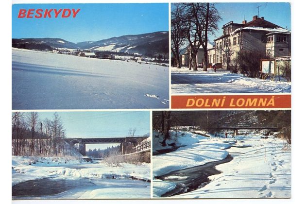 F 49704 - Dolní Lomná