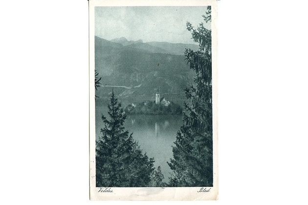 Ostatní cizina - 50003