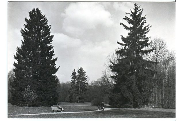 E 50131 - Lázně Belohrad