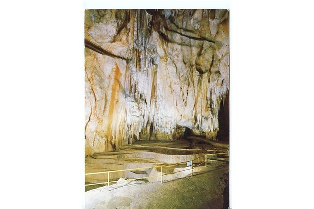 Jaskyňa Domica - 50600