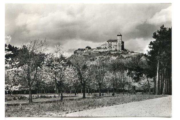 E 51281 - Kunětická Hora