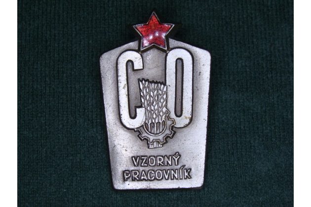 10315-CO vzorný pracovník