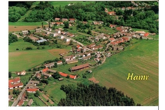 F 54124 - Hamr